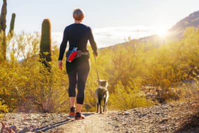 dogs in desert areas can catch a deadly disease called valley fever