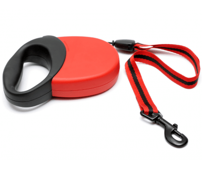 retractable leashes could be the cause of your dogs itchy paws