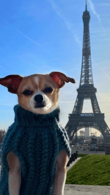 Jonathan in front of the Eiffel Tower