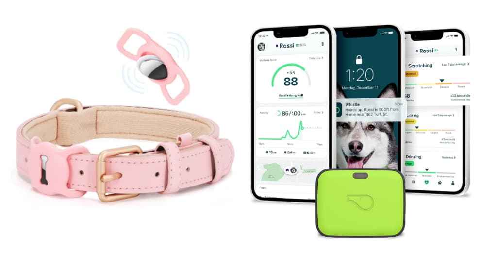 GPS tracker & Air Tag Collar 