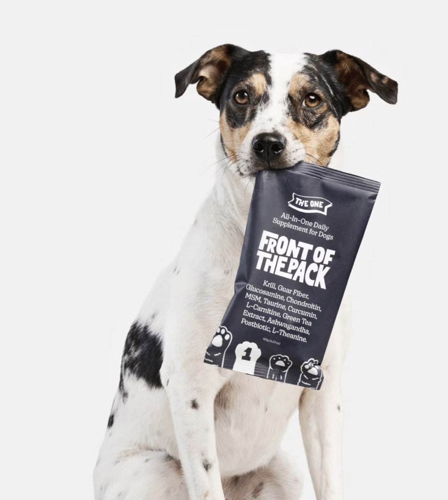 Best dog food for weight gain