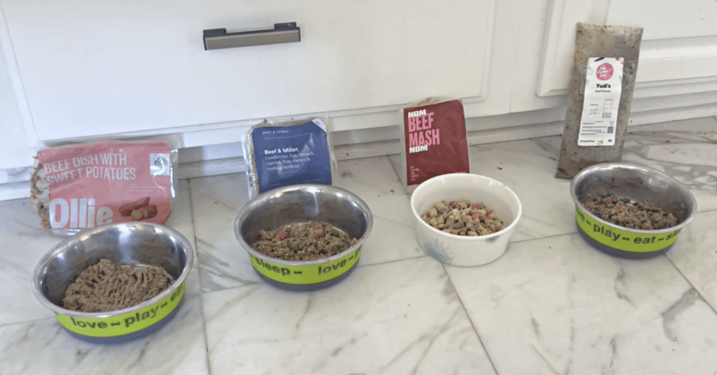 dog food taste