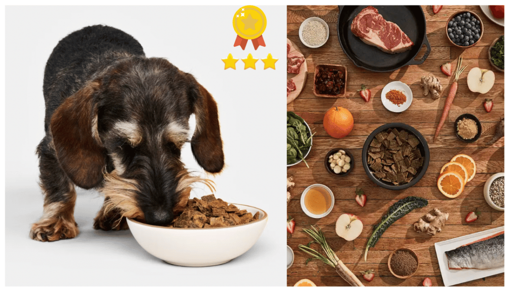 Best
air dried dog food