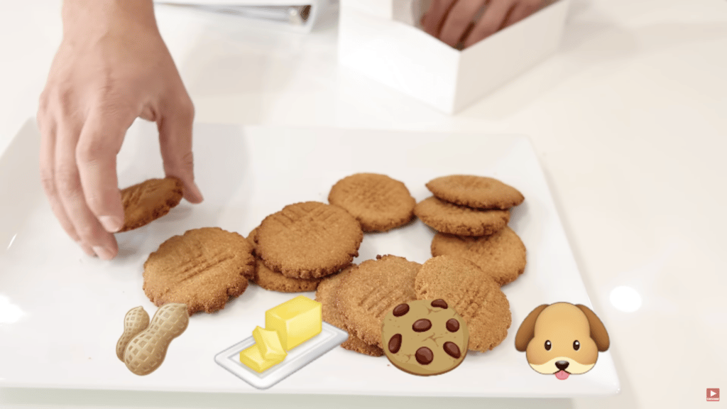 Heartwarming footage of rescue puppies eating cake & playing will melt your heart