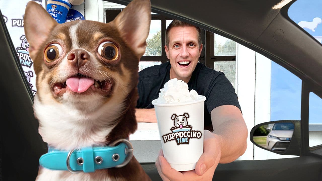 I opened a Puppuccino Drive Thru for Dogs!