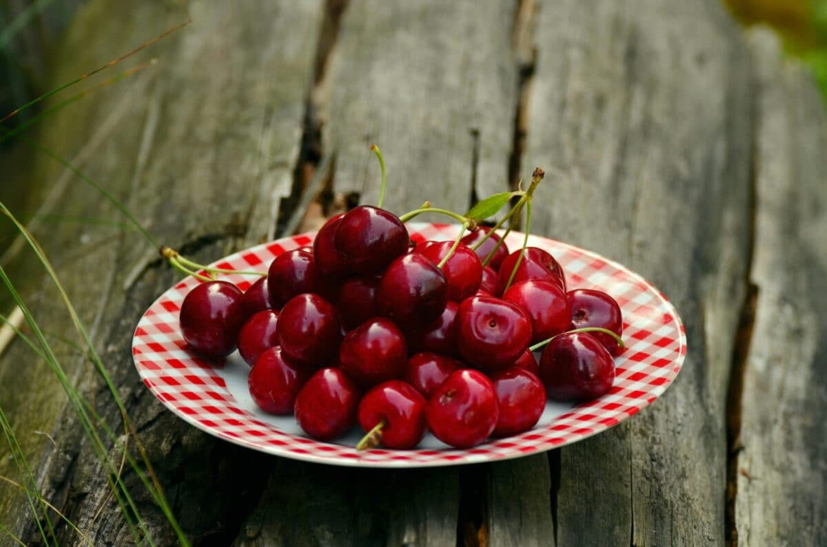Cherries on a round white and red ceramic plate, Cherry pits are among the human foods toxic to dogs