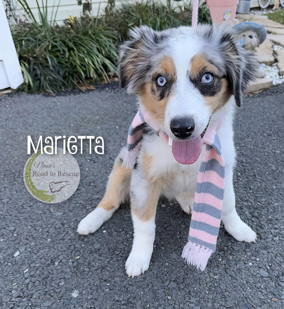 Marietta