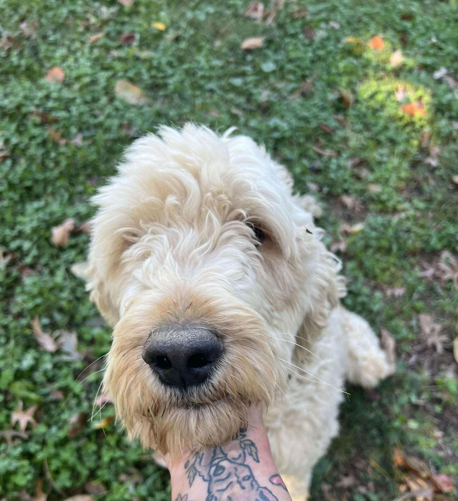 Winston
