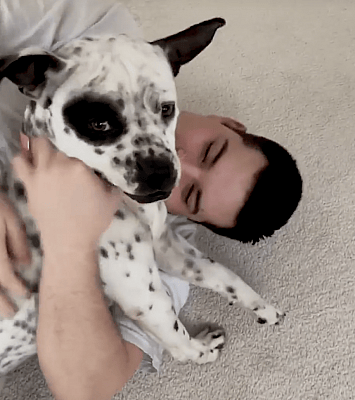What is a puppy mill? Valentine found out and it wasn't a good experience