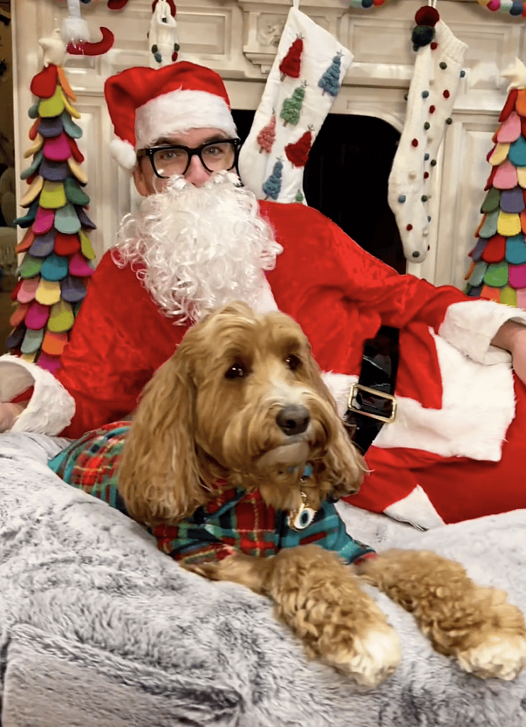 Human-Sized Dog Bed