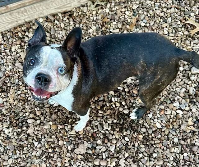 Axel (bonded with Coco)