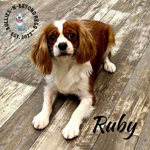 Ruby