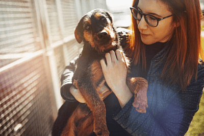 rehoming a dog can be emotional