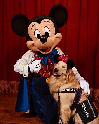 Nala, the service dog, with mickey mouse