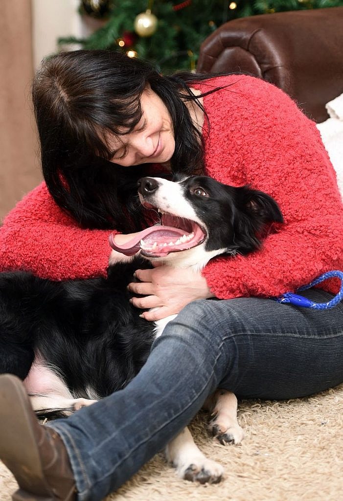 Can dogs smell cancer?