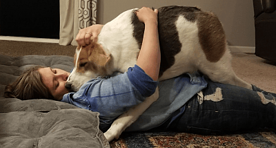 Cooper is a dog with no neck and he has short spine syndrome