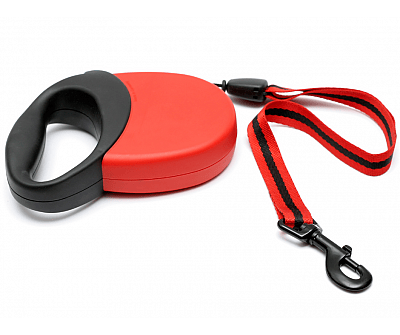 retractable leashes could be the cause of your dogs itchy paws