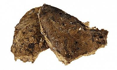 beef lung dog treat