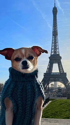 Jonathan in front of the Eiffel Tower