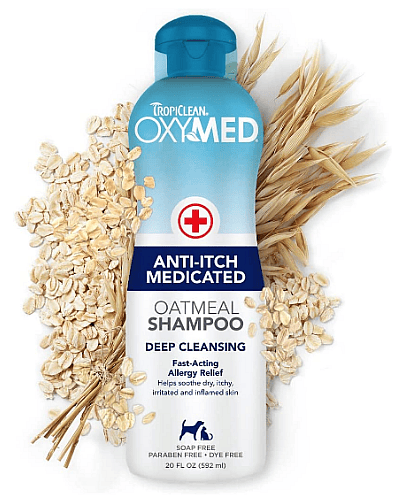 CuraseB Medicated Shampoo for Dogs