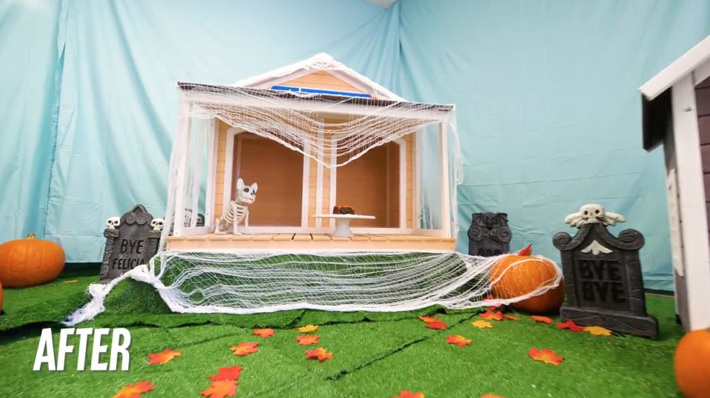 Halloween Town for dogs