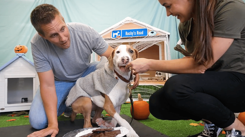 Willie Wonka is having halloween candy