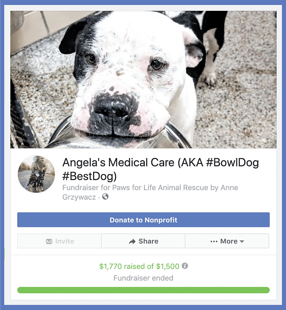 Scared Dog Won't Put Bowl Down