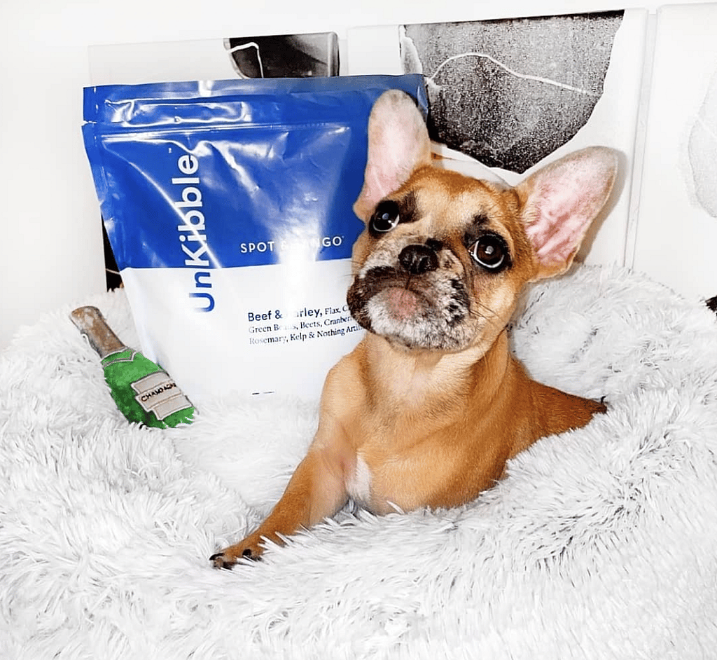 Best Dog food for French Bulldogs