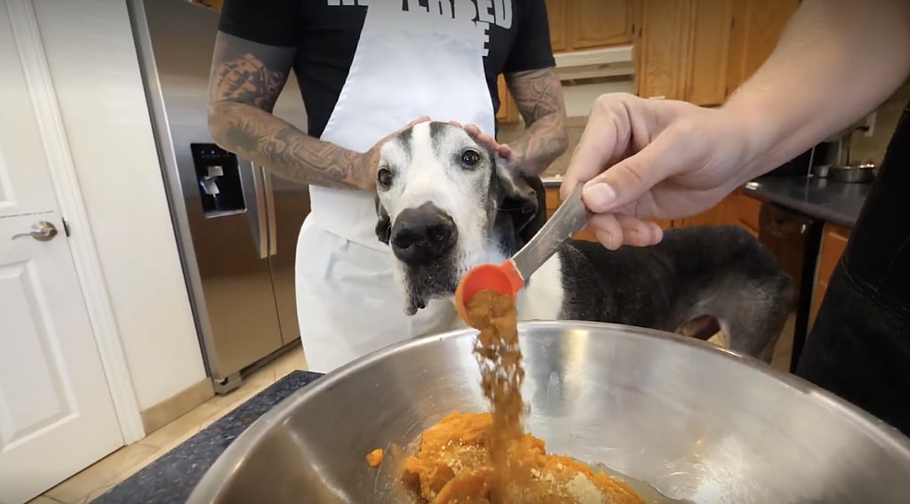 Barksgiving Pumpkin Pie for Dogs Recipe