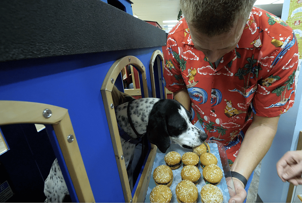 Dog eats doggy treat