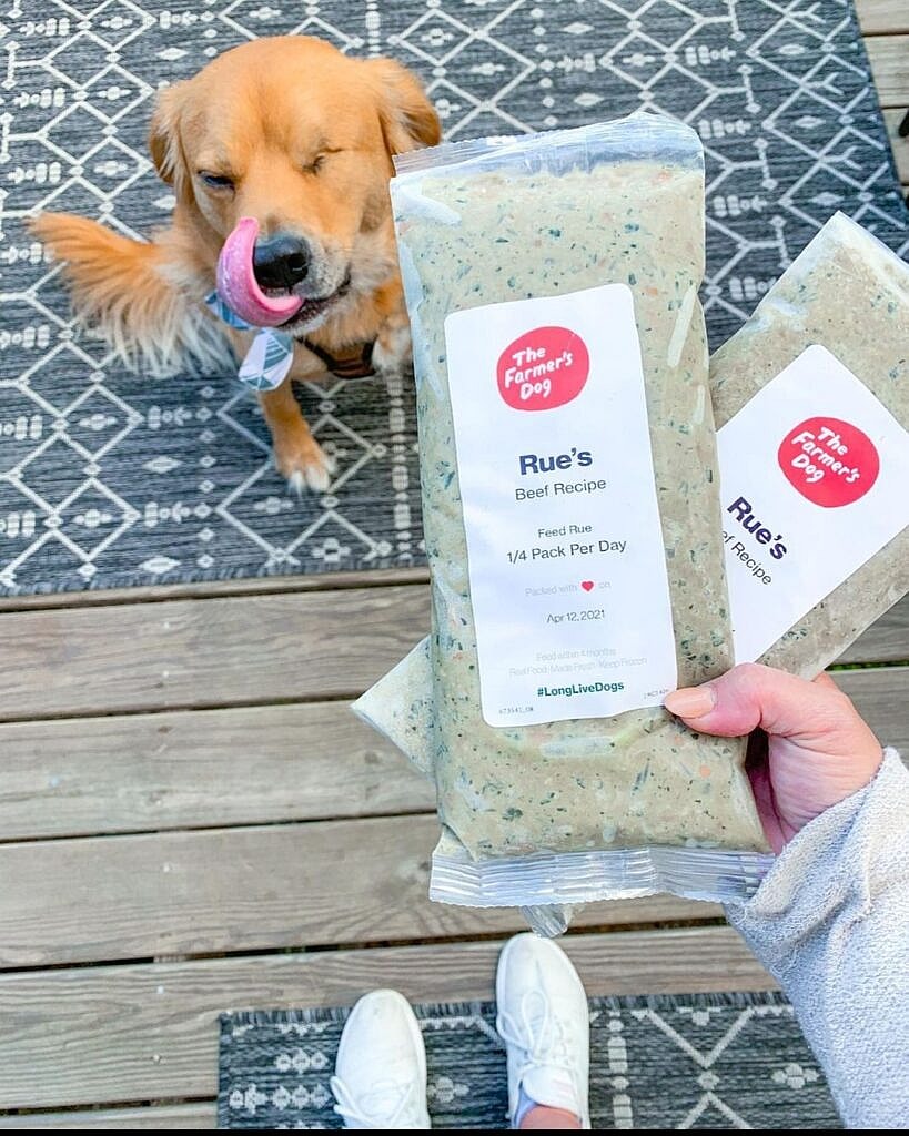 best food for german shepherd puppy