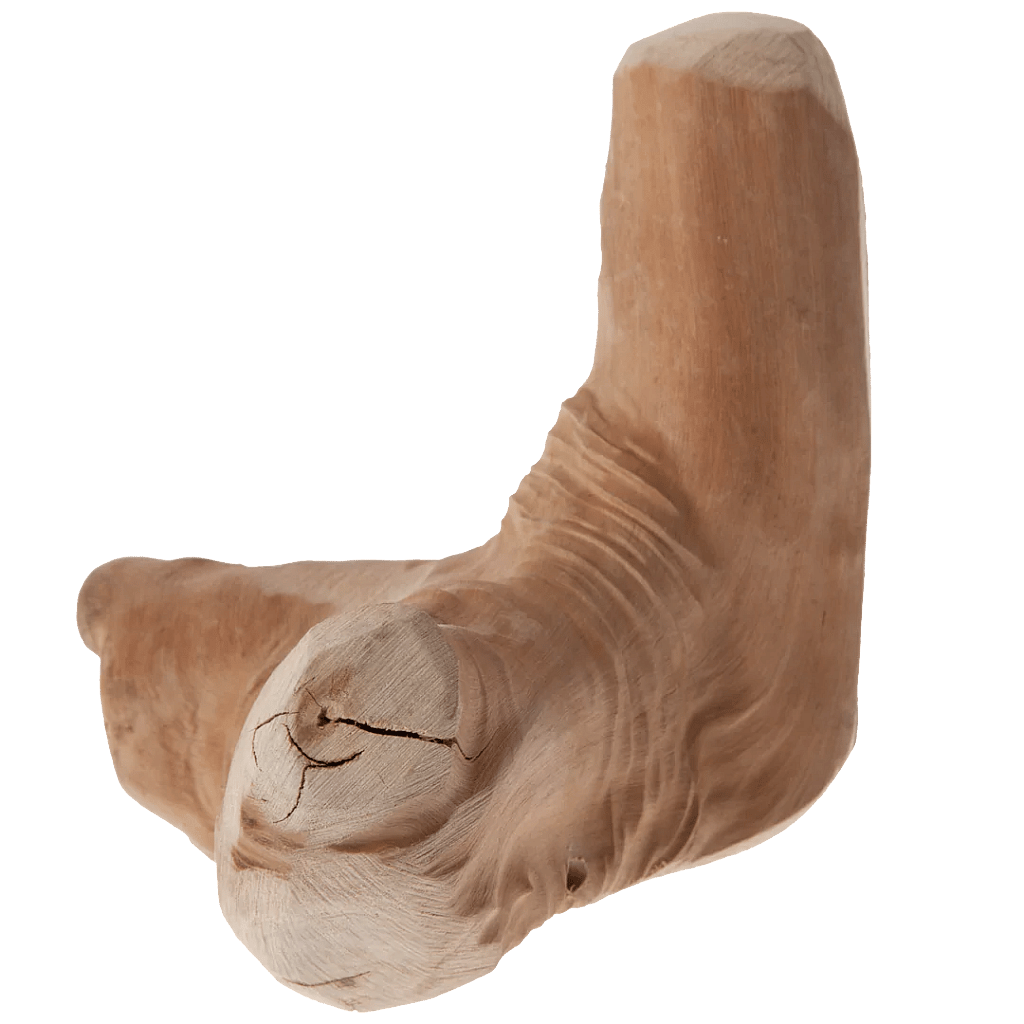 Best Wooden Chew Toys for Dogs