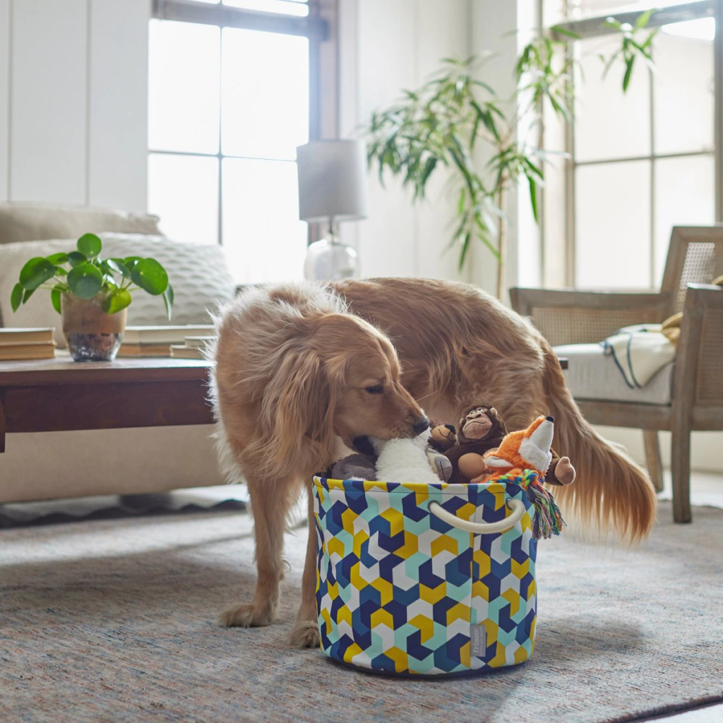 Top 10 Best Dog Toy Boxes to Organize Your Dog’s Rope Toys, Bones, & More