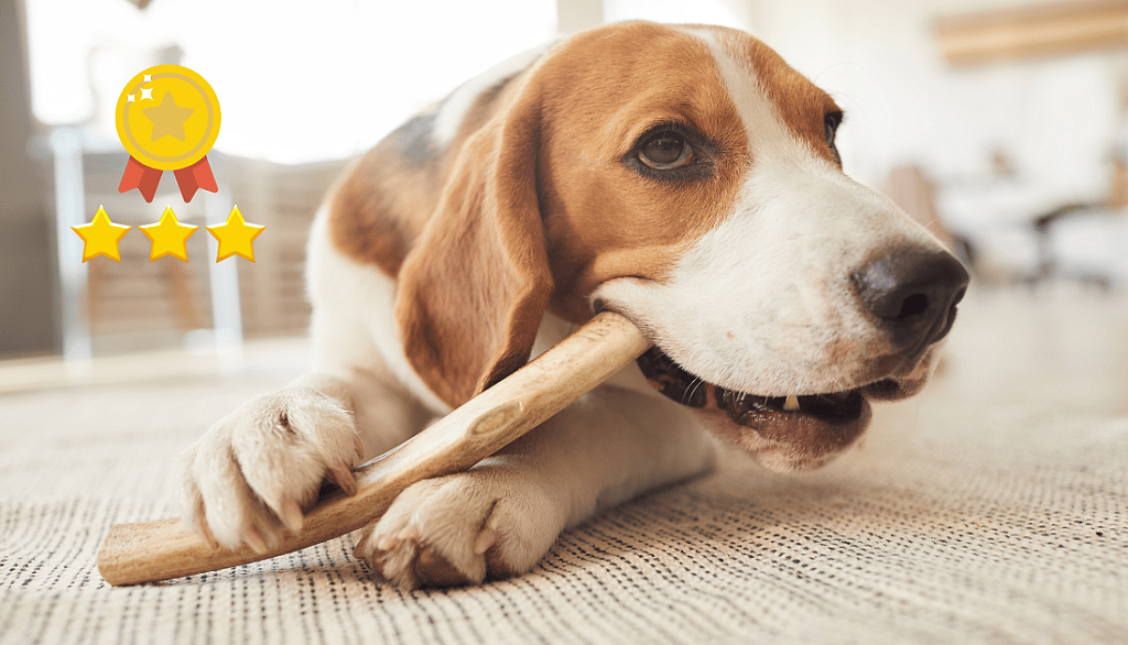 Best Wooden Chew Toys for Dogs