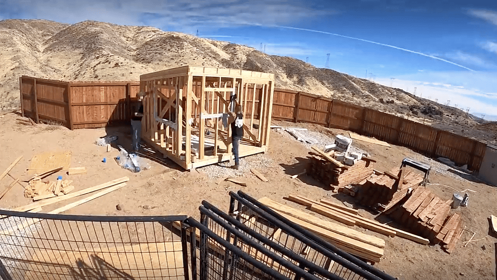 when Homeless Dog Gets a Say in Designing Their Dream Home