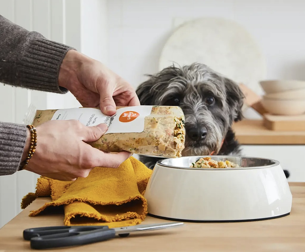 The Farmer’s Dog offers fresh frozen, almost as good as homemade