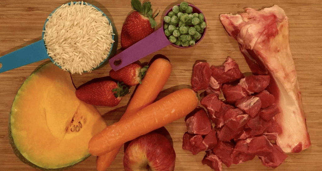 homemade dog food recipe vet approved