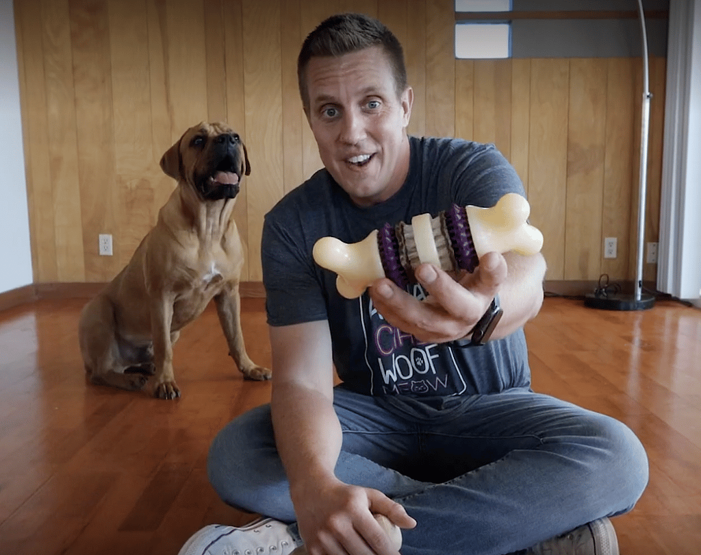 Which toys do dogs like best? Let's put them to the test