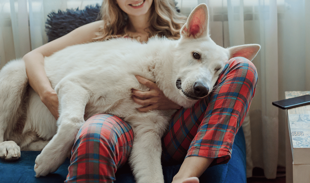 dog Leaning into you