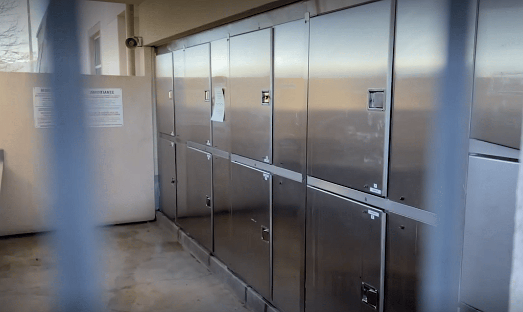 Cute Chihuahua put in shelter night drop