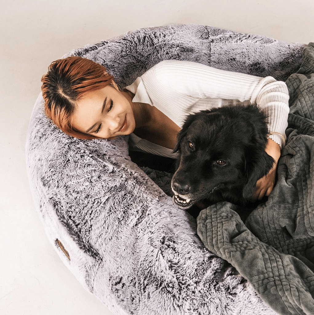 Human-Sized Dog Bed