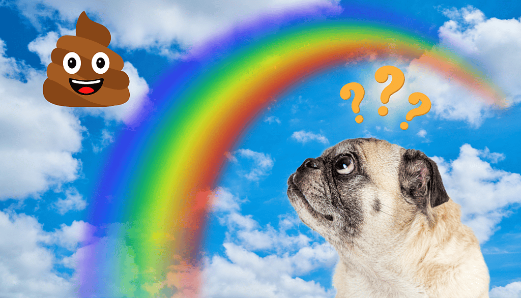 A Rainbow of Dog Poop