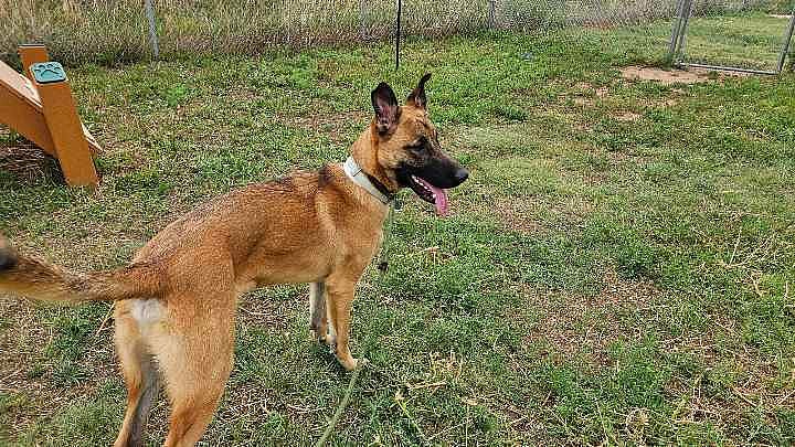 Kaiser - Located in UT