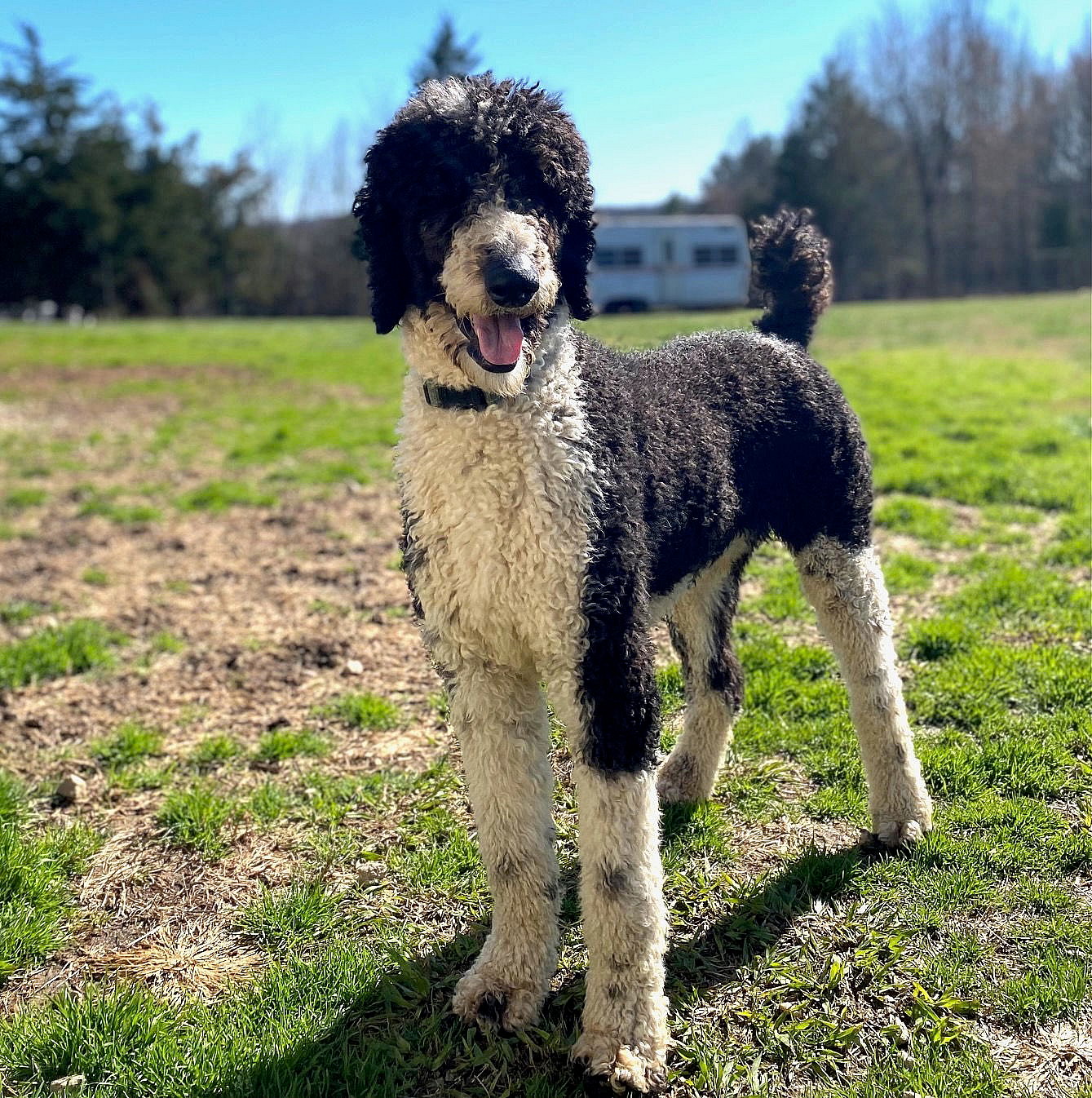 Roscoe Feb 25