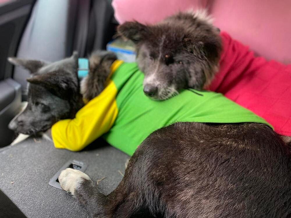 ORIO-LOCAL (Okngn) sf/kt Bond w/Olivia