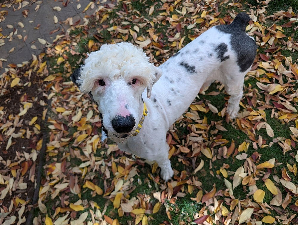 Columbia County / Oliver