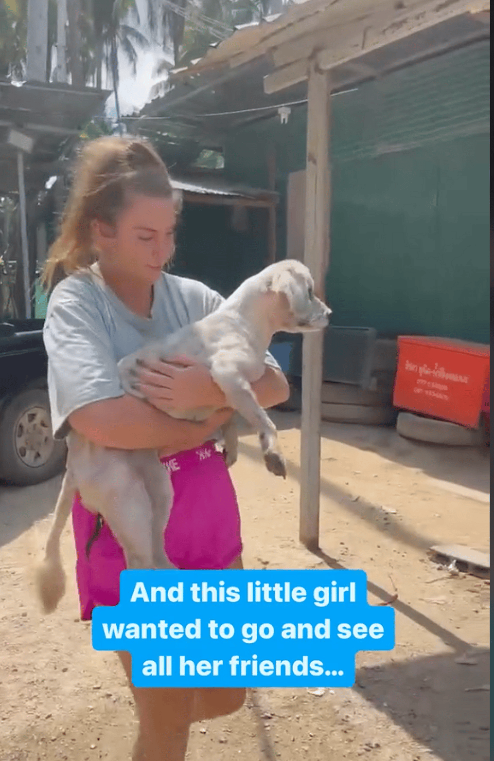 Shaggy Dog Was Hot, Exhausted & Barely Recognizable - Until Heroes Unleashed Her True Beauty