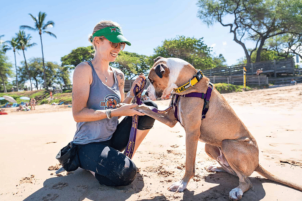 On-Demand Dog Programs