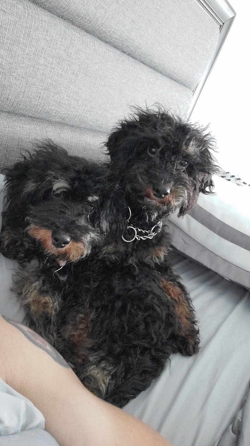 Maribel MBD & Isabella MBD