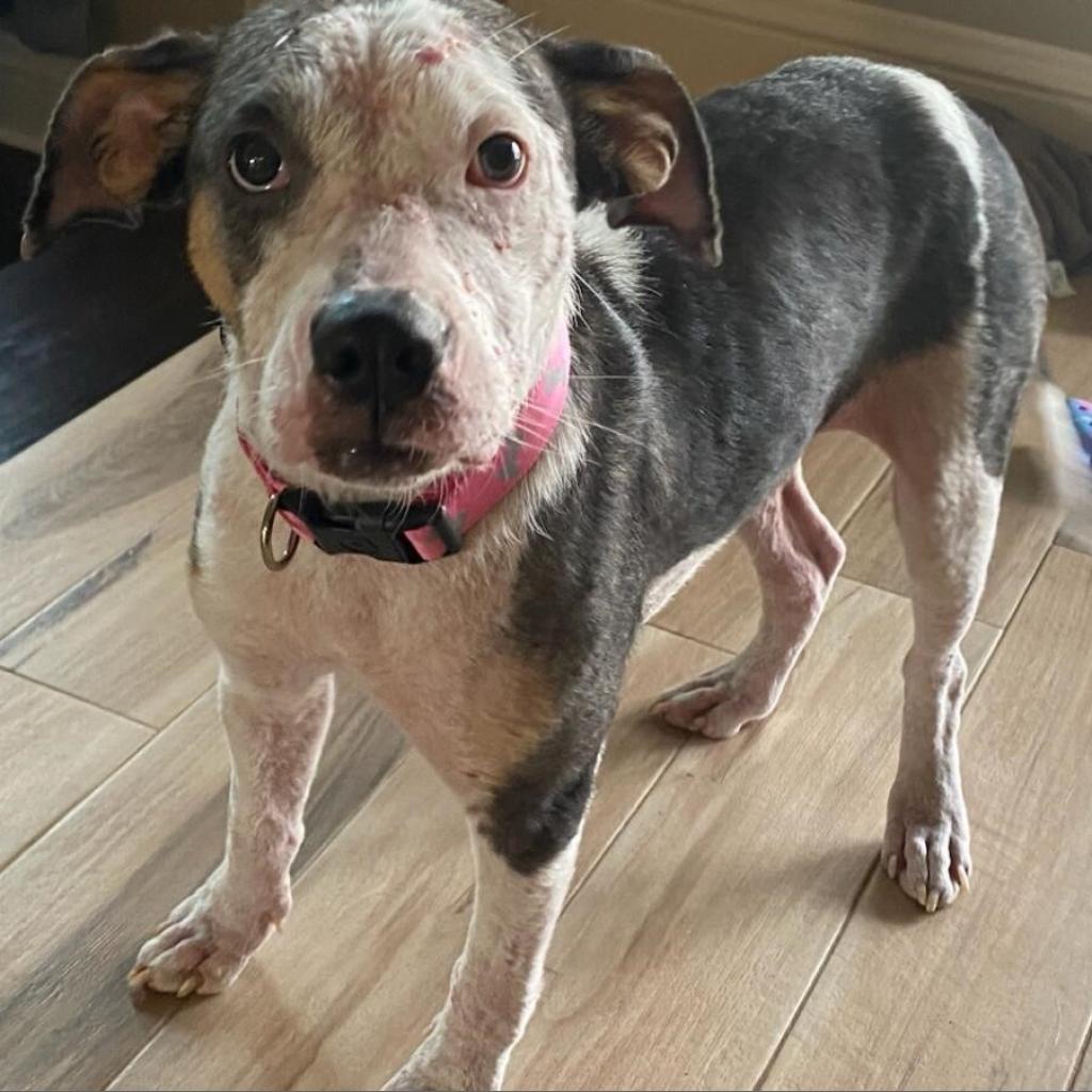 Maggie